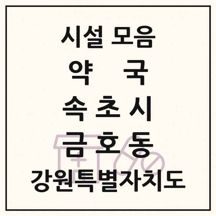 강원특별자치도 속초시 금호동 약국 목록